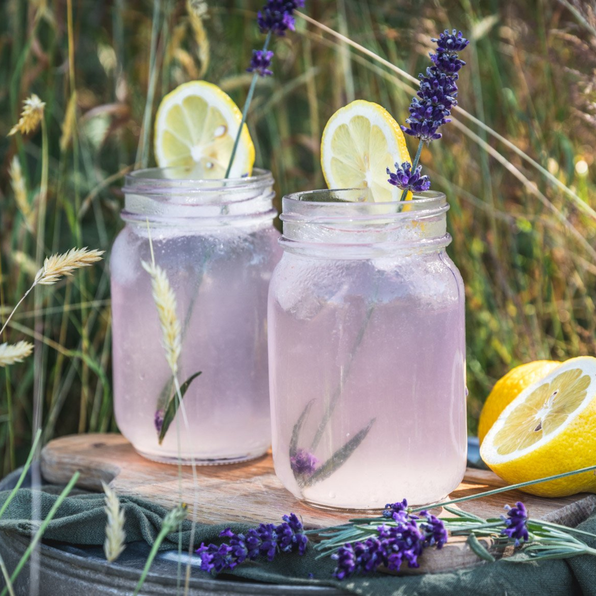 Lavender Lemonade (24 - pack) - NobleMicks