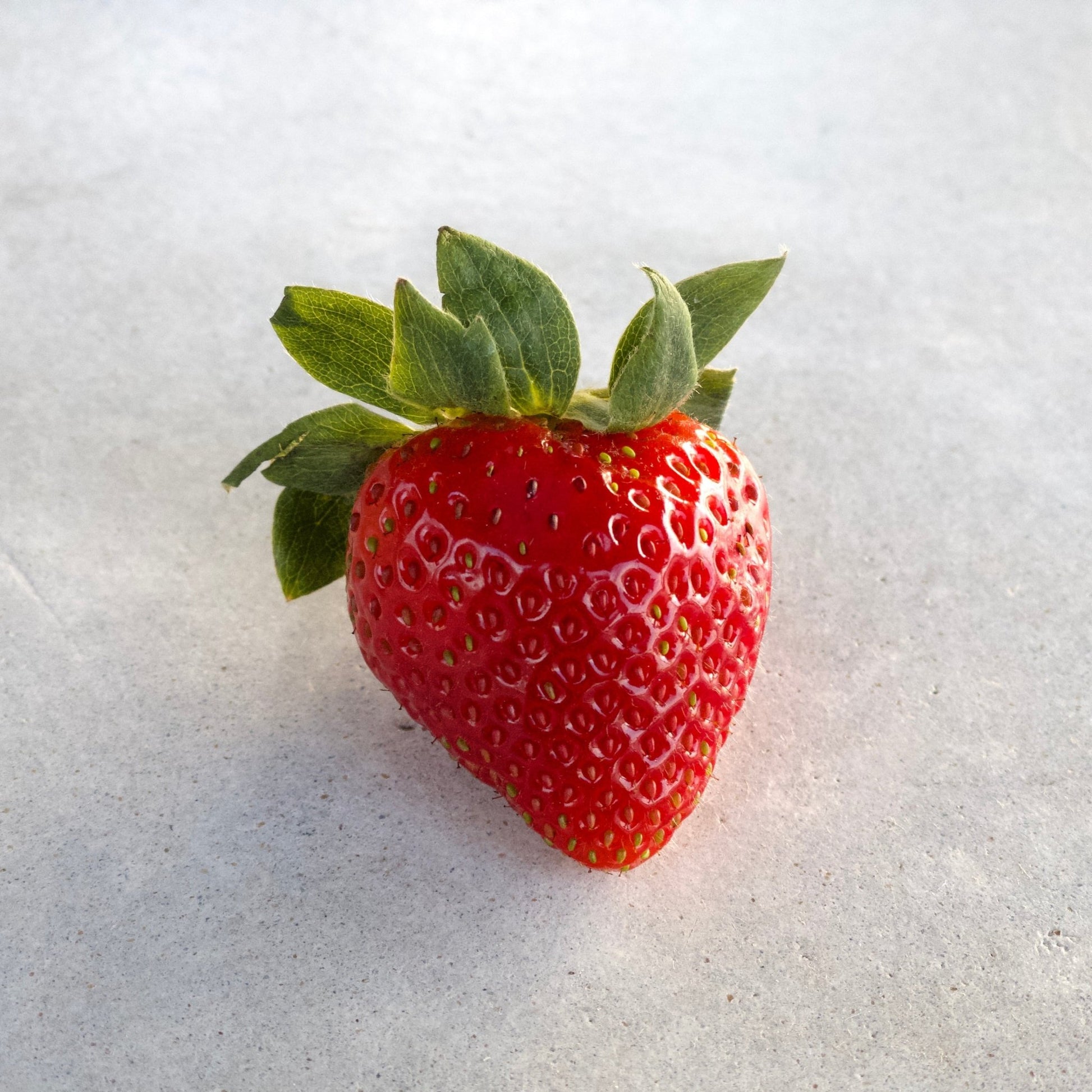 Strawberry Margarita (24 - pack) - NobleMicks